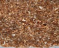 /products/sementes-de-linha%c3%a7a-marrom/
